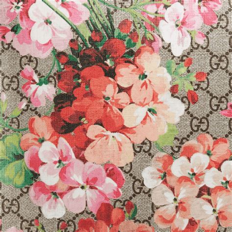 gucci flowers|gucci flower wallpaper.